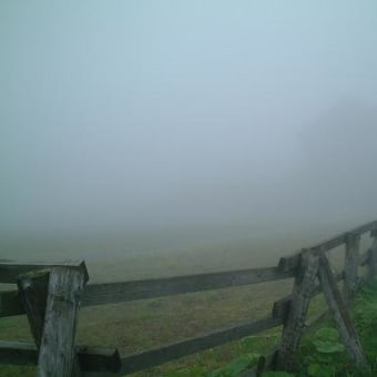 霧の牧場