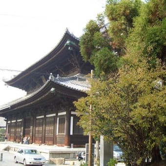 東福寺の紅葉