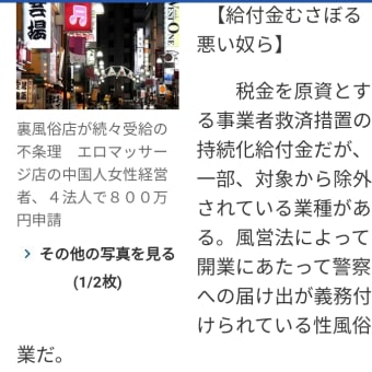 日本の補助金に群がるチャイナコリアン性異常詐欺種族