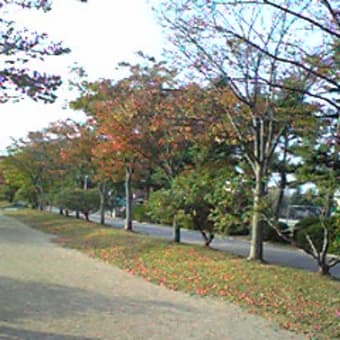 U^ェ^Uと秋のお散歩