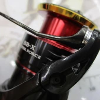 ダンプリングスペシャル450(中古)に続き、まさかのダンプリング ダンプリングスペシャル450(中古)に続き、まさかのダンプリング