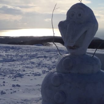 市民雪像ゆきまつりinだんパラ1日目