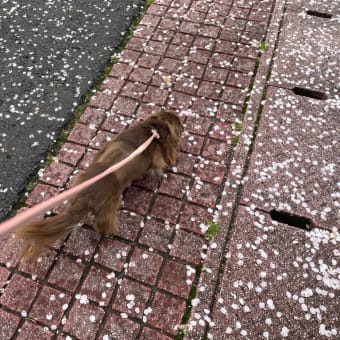 宴