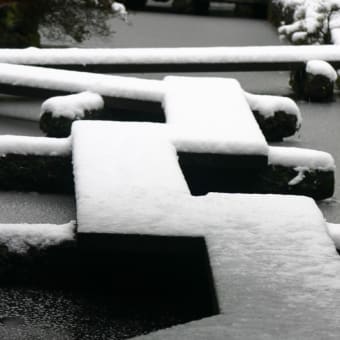 雪景色に梅ひらく