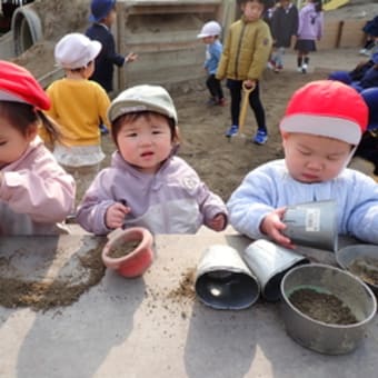 あか・すみれ　０歳児　戸外遊び