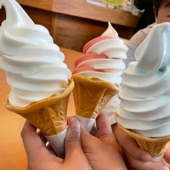 お久しぶりです