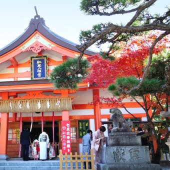 令和二年正月十二日紅葉八幡宮奉納演武会行いました。