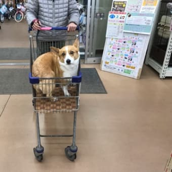 揺れる想い