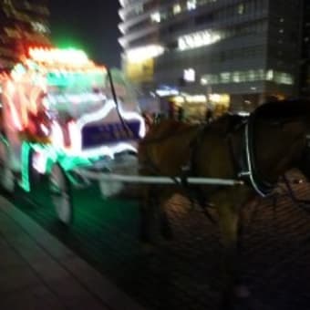 市庁周辺　夜の馬車観光