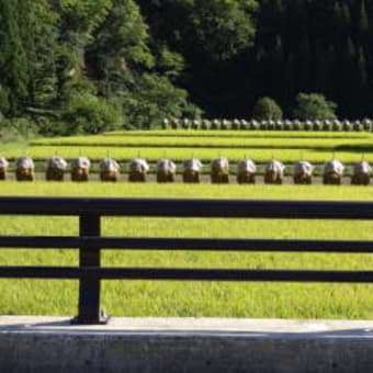 朝日連峰・祝初ルート古寺鳥原