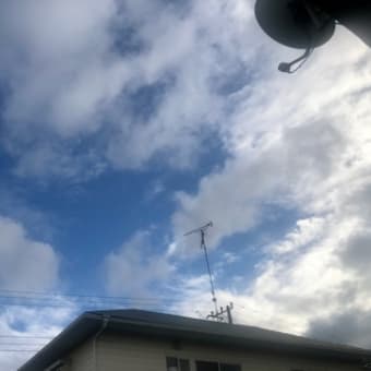 とらぷぅ💥情報＋天気6/25 とら迷走中😆