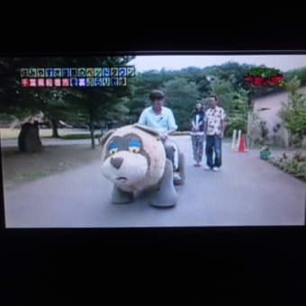 宿命の対決とブシャー