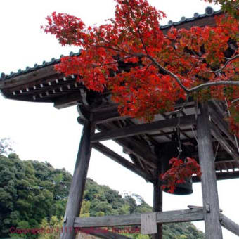 養老の滝