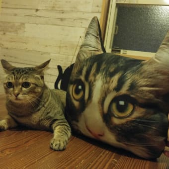 怖いんです・・・
