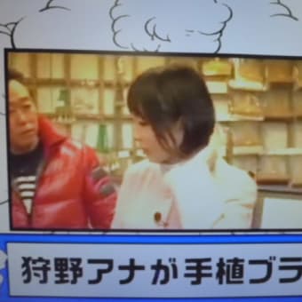 ブラッシングも雑だったでつなぁ～