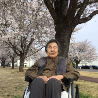 #お花見🌸