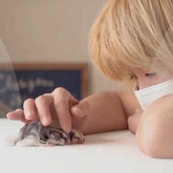 季節変動の雨(*´ω｀)