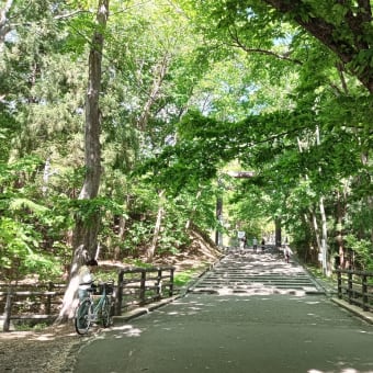 今週も元気なリスたちとカモ親子と札幌バンクシーさんと。～円山公園＆北海道神宮散策～