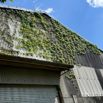 陶芸作家展2023明日5/2から4日までです