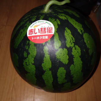 赤い彗星
