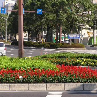 街角の花壇