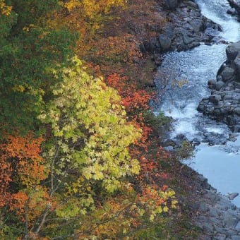 裏磐梯　湖沼の彩り