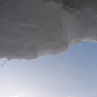 真冬日ですが・・・
