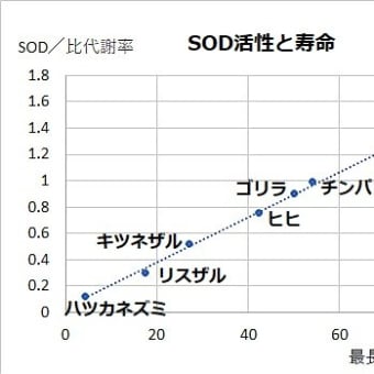 抗酸化酵素（SOD）と寿命