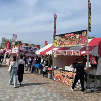 親子の歓声ひびく「はびきの市民フェスティバル」　