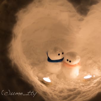 優しい雪あかりの光