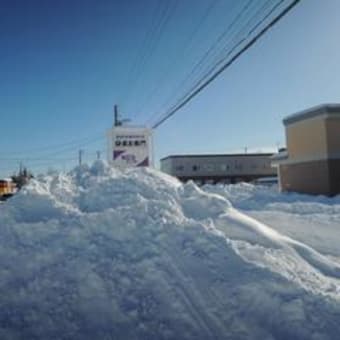 大雪すぎて災害レベル