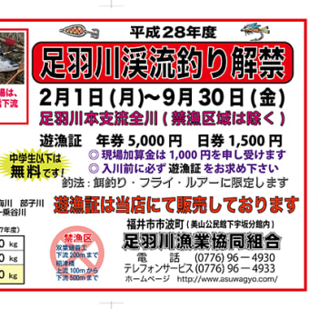渓流・サクラマス解禁情報