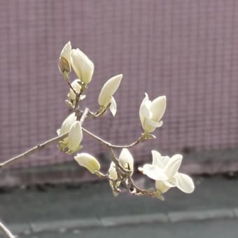 感動のポイント