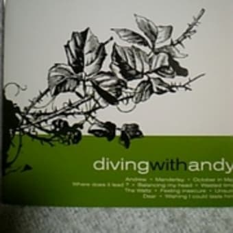 DIVING WITH ANDY