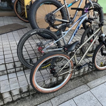 子どもたちはどんどん伸びていきますね。