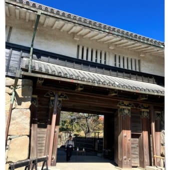 王ヶ頭ホテルからの帰り、松本城や中町など観光してきました～