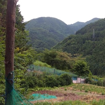 令和7年7月8日・今朝の東祖谷22℃（21.5℃）