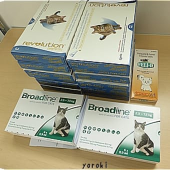 レボリューション猫犬