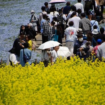 5月5日出かけることに