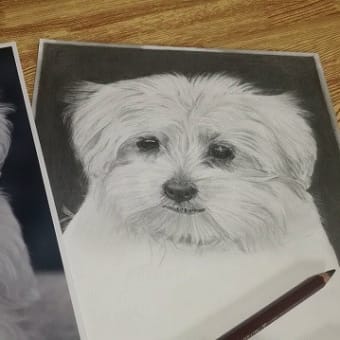 鉛筆画『子犬』その１