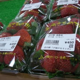品格と海岸線