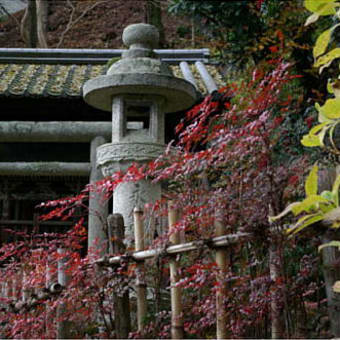 長谷寺