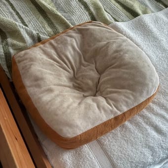 最近のにぽち