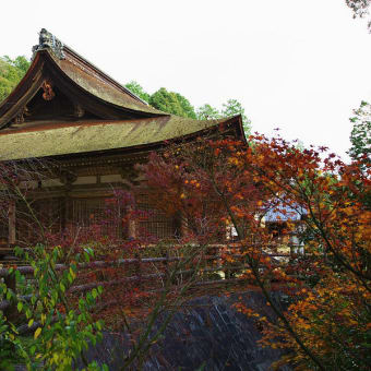 善水寺（滋賀県湖南三山）（2011年12月05日　月　ＥＯＳ　５Ｄ）