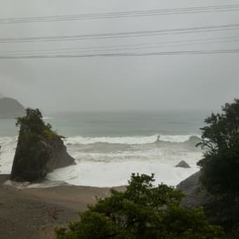 久々の雨
