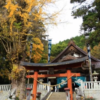 黄葉～長尾神社