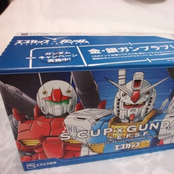 ガンプラ欲しかったんだけど、、、