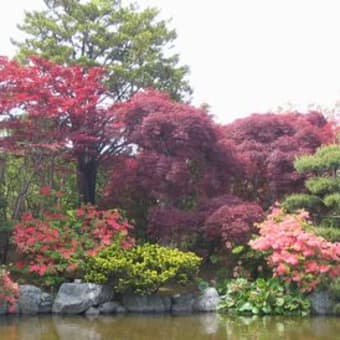 平岡樹芸センターの今