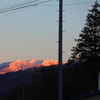 赤早池峰