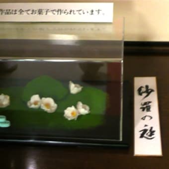 2011年6月19日(日)　東林院（妙心寺）